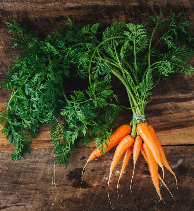 Carrots - $7 (1 bunch) - The Local Y'all