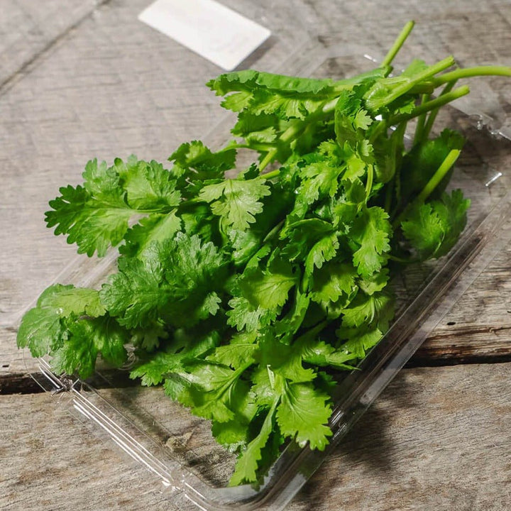Cilantro - $5.50 (clamshell) - The Local Y'all