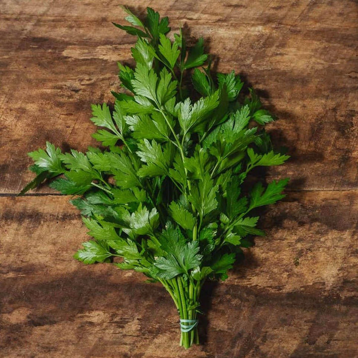 Flat Parsley - $5.50 (clamshell) - The Local Y'all