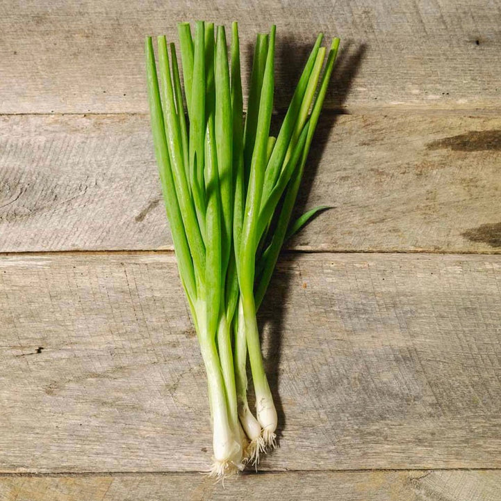 Green Scallions - $4.50 (1 bunch) - The Local Y'all