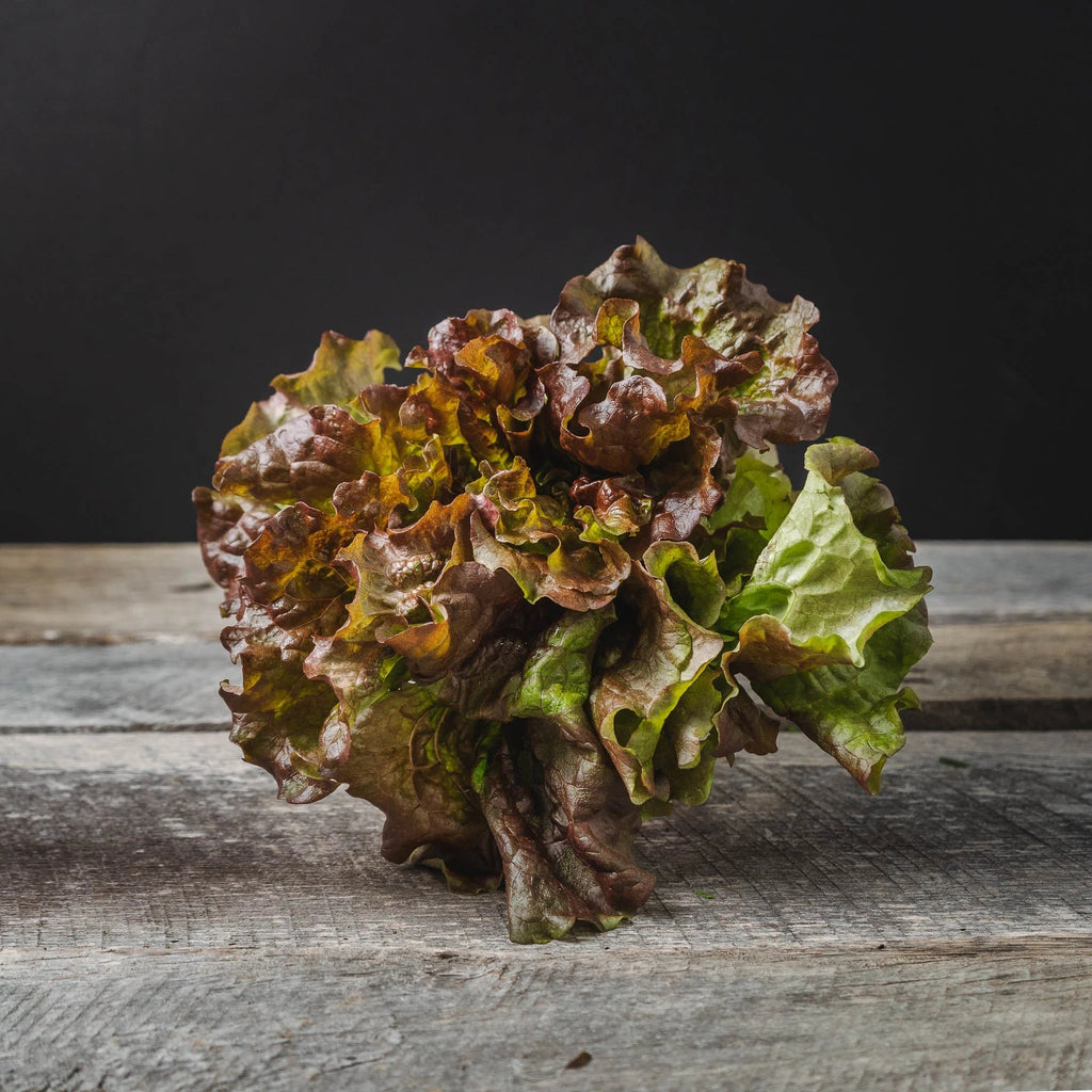 Red Leaf Lettuce - $6.50 - The Local Y'all