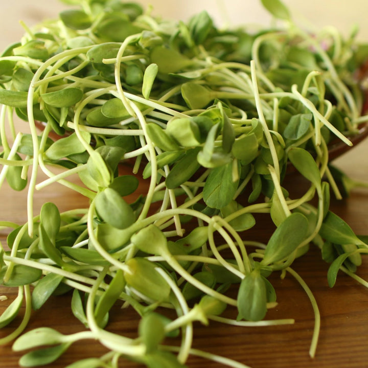 Sunflower Shoots (1oz) - $5.75 - The Local Y'all